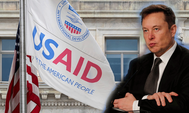 elon-musk-on-us-aid