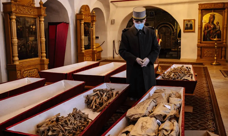 nepolean army defeat in russia dna reveals new causes